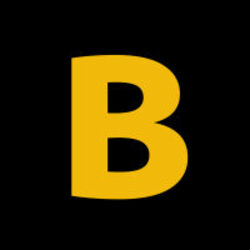 Bscbook logo