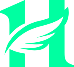 HyperFly logo