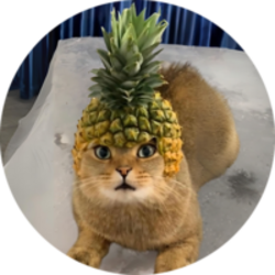 Pineapple Cat logo