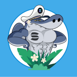 Shark logo