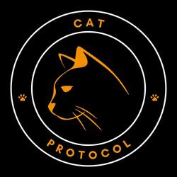 OPCAT logo