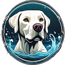 Splash Dog logo