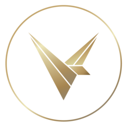 Valinity logo