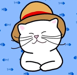 Shiro Neko CTO logo