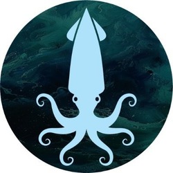 Squidswap logo